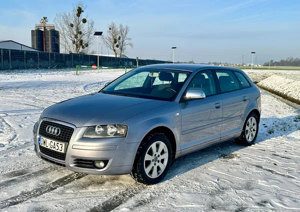 wrocław Audi A3 cena 13900 przebieg: 249000, rok produkcji 2005 z Wrocław